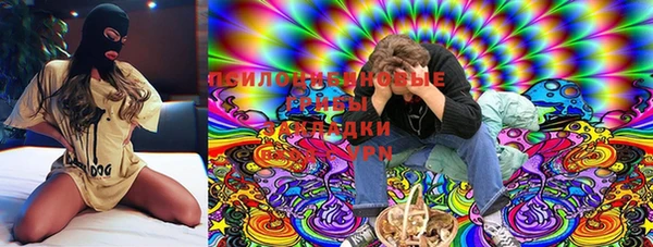 ешки Михайлов