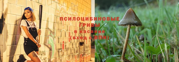 ешки Михайлов
