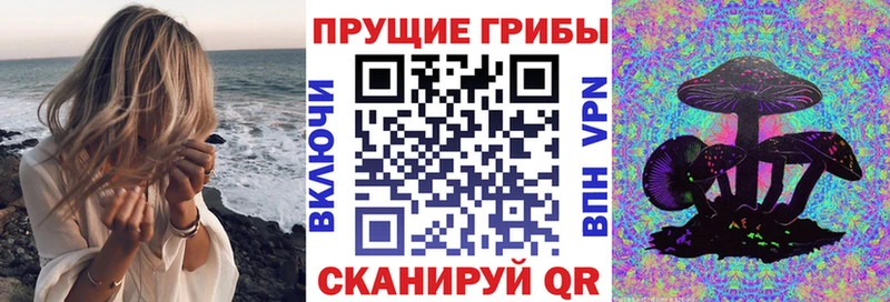 Псилоцибиновые грибы Psilocybine cubensis Хабаровск