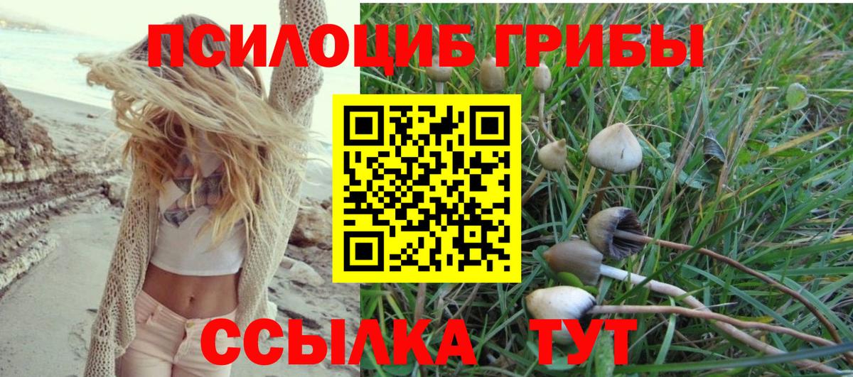 Россия  дарнет шоп  Вход с VPN  Псилоцибиновые грибы мицелий 