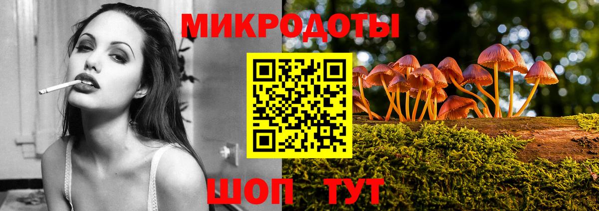 Псилоцибиновые грибы Psilocybine cubensis Россия